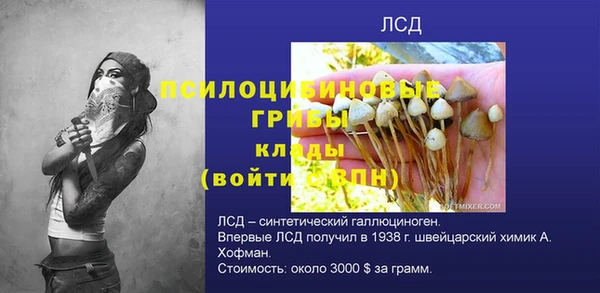 молекула духа Алексин