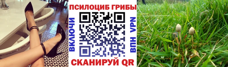 где купить наркоту  Железногорск  Галлюциногенные грибы ЛСД 